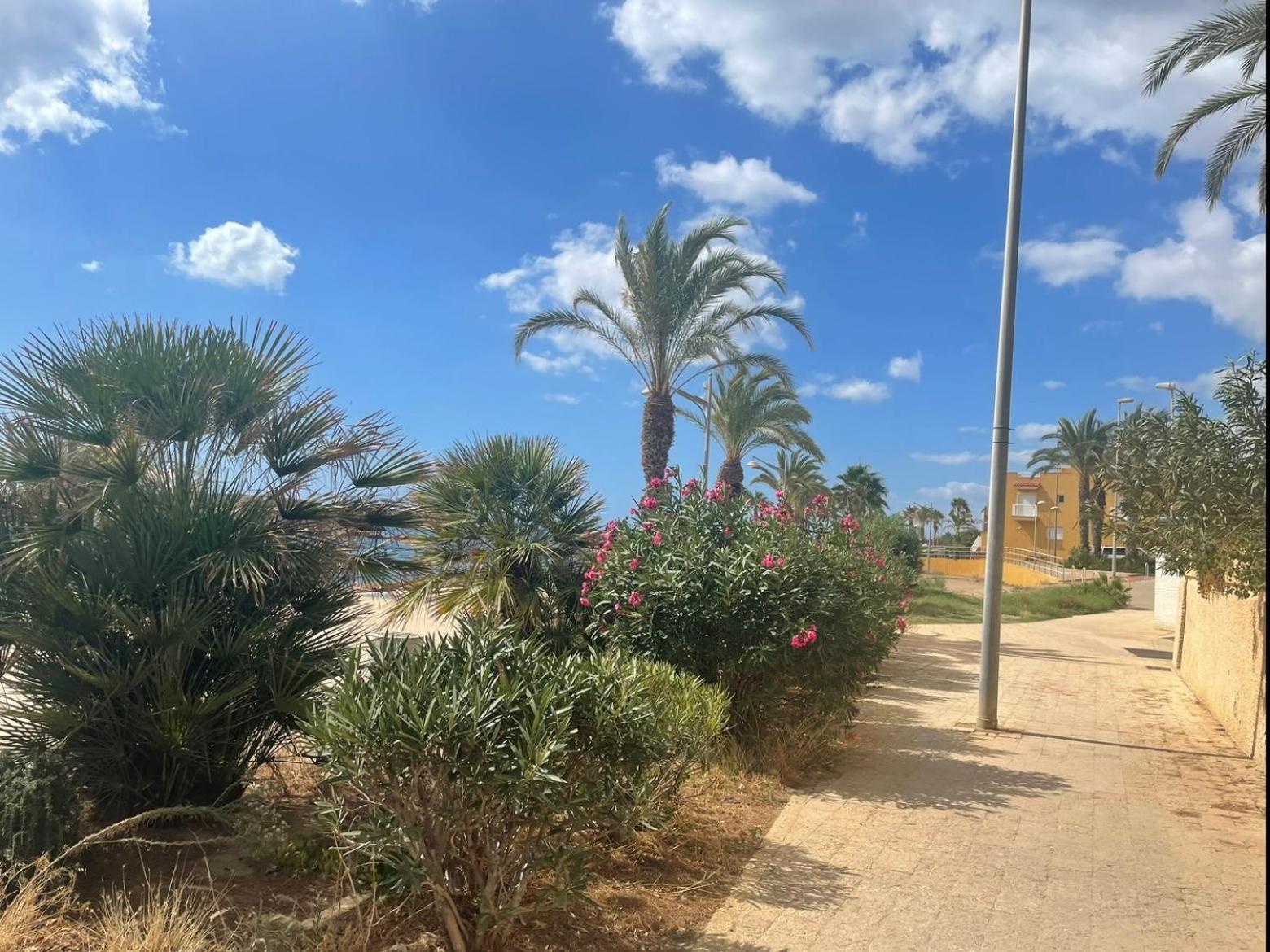 Casa Luna - Sea View Apartment Bolnuevo Eksteriør bilde
